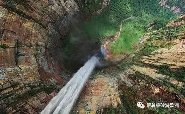 “猴子虐猫”?昆明动物园:计划将猫移出猴山