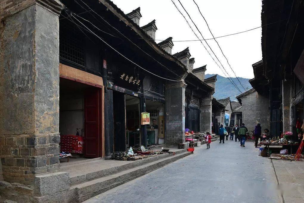 救援鹦鹉